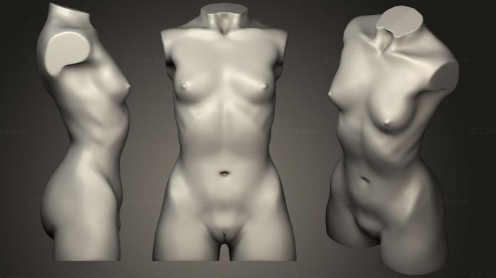 Анатомия скелеты и черепа (Женское тело, ANTM_0539) 3D модель для ЧПУ станка